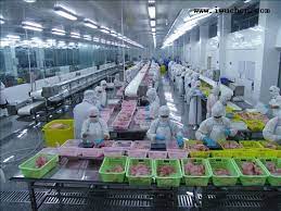 食品加工廠新工廠規(guī)劃的要點(diǎn)有哪些？