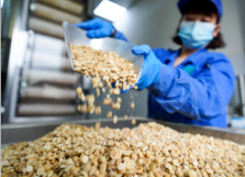 簽約：佛山某中藥飲片公司精益6S管理項目咨詢